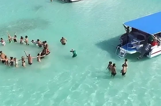 Tour a la Isla Saona