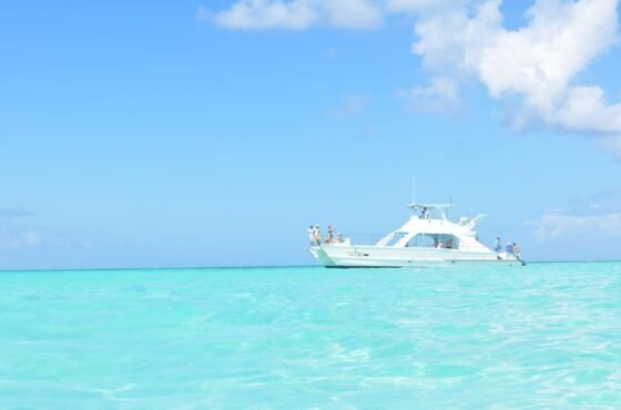 Isla Saona o Isla Catalina: cuál excursión elegir desde Punta Cana
