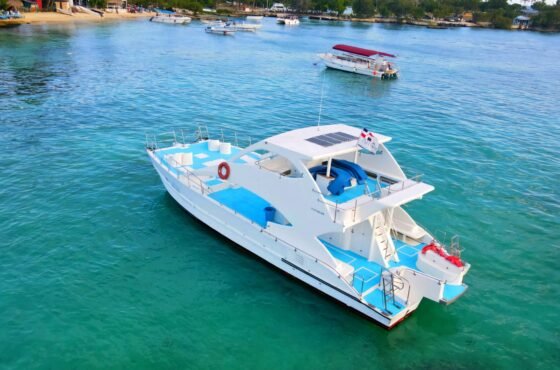 Excursión Privada a Isla Saona: Todo Incluido